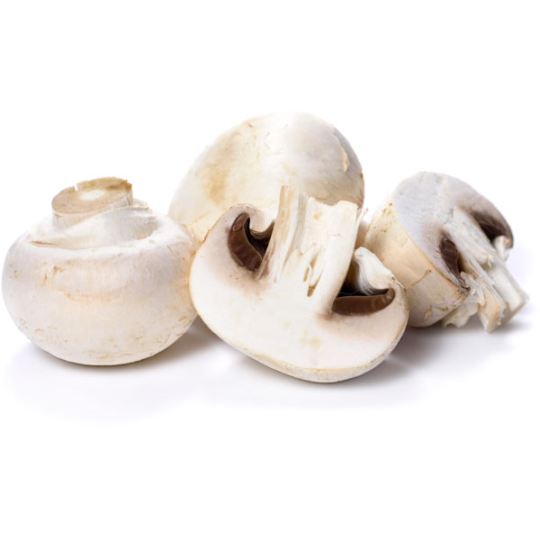 Mushrooms-536078623.jpg